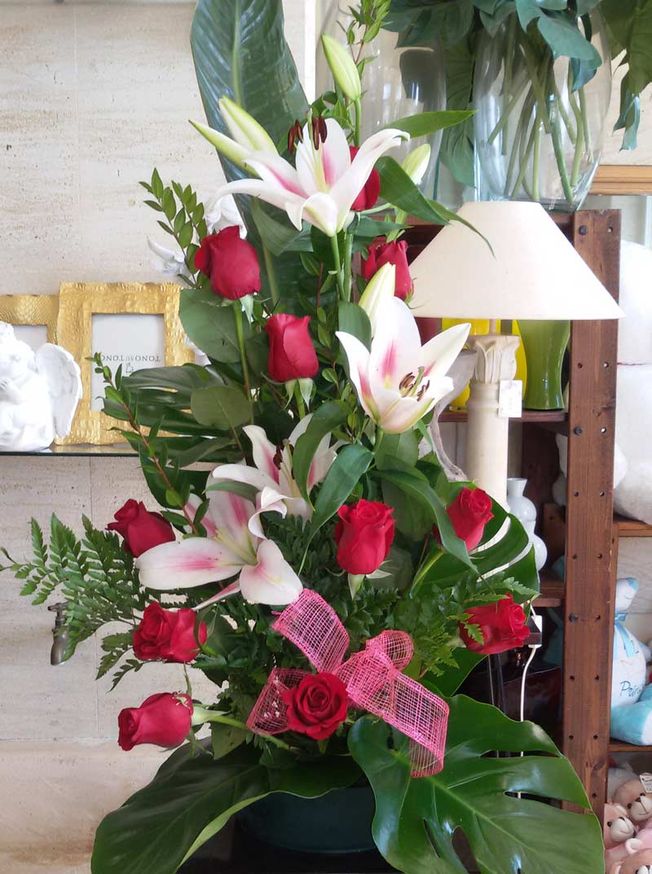 ​CENTRO ROSAS ROJAS 