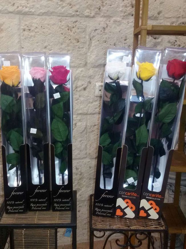 ​ROSA PRESERVADA